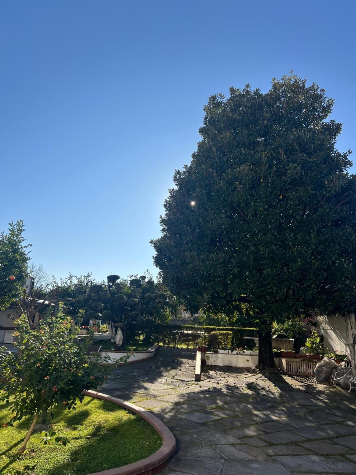Maison Aielli 112 San Giuseppe Vesuviano Eksteriør bilde